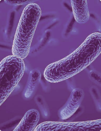 imagem ilustrativa de probióticos