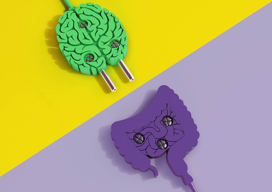 Segundo cérebro relação entre intestino e saúde mental