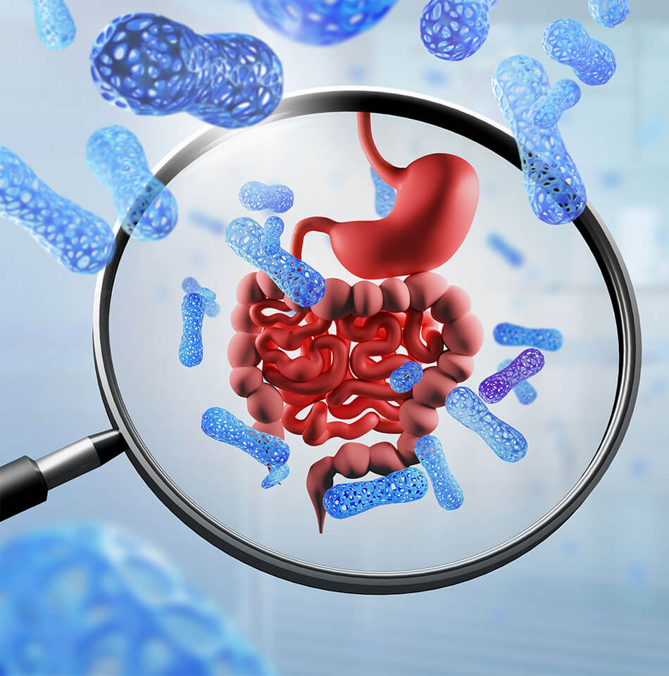 Ilustração dos probióticos e prebióticos, suas principais diferenças e benefícios