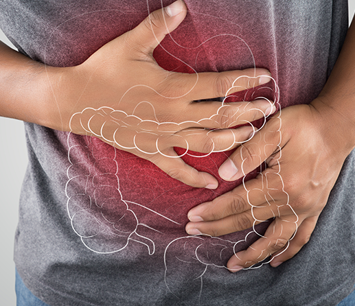 Intestino afetado por antibiótico