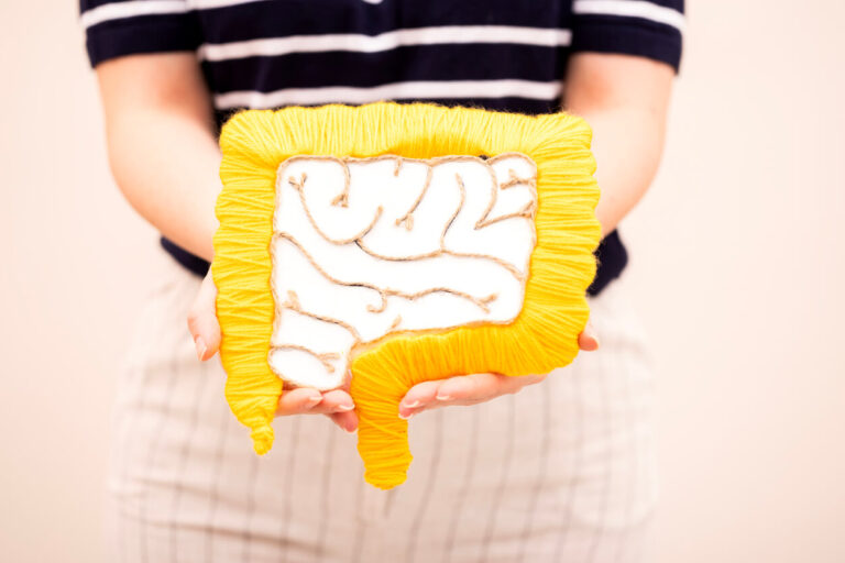 Pessoa segurando modelo colorido do intestino humano, simbolizando o papel dos probióticos na saúde intestinal e equilíbrio da microbiota.