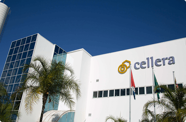 Cellera Farma é fabricante do probiótico Culturelle no Brasil