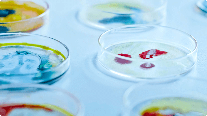 Escolha culturelle e tenha o melhor probiótico com composição premium